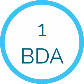 1 BDA